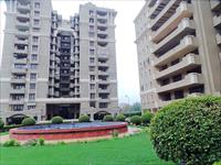 flat for rent in Faridabad